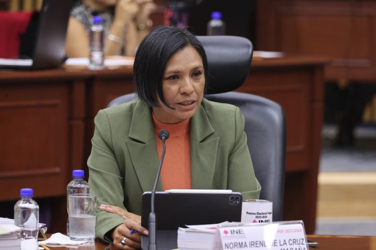Norma Irene De La Cruz Magaña, Consejera Electoral.