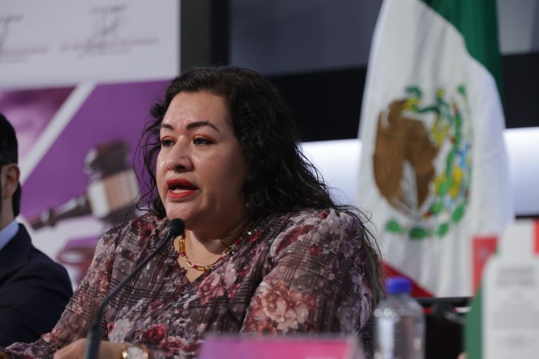 María Magdalena Vila Domínguez, Consejera Presidenta Provisional del IEPC del Estado de Chiapas.