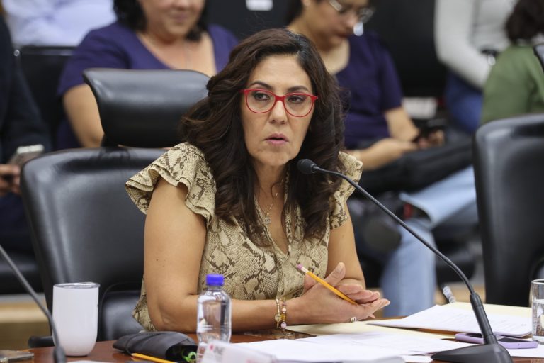 Claudia Zavala Pérez, Consejera Electoral.