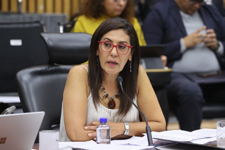 Claudia Zavala Pérez, Consejera Electoral.