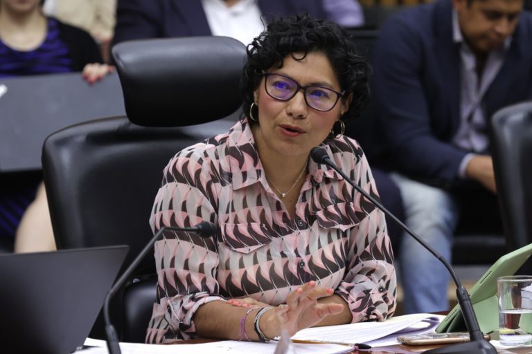 Rita Bell López Vences, Consejera Electoral.