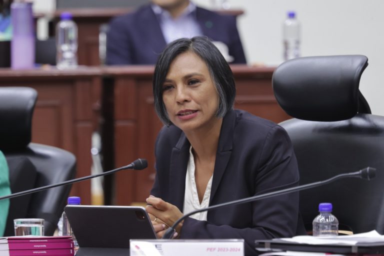 Norma Irene De La Cruz Magaña, Consejera Electoral.