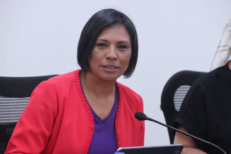 Norma Irene De La Cruz Magaña, Consejera Electoral y presidenta e integrante del Grupo de Trabajo en materia de Transparencia del INE