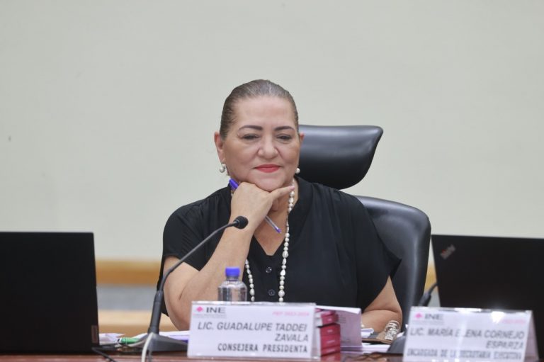 Guadalupe Taddei Zavala, Consejera Presidenta.