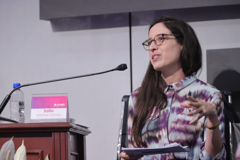 Sofía Mateos Gómez, Investigadora estudiosa de la literatura de mujeres de la Revolución.