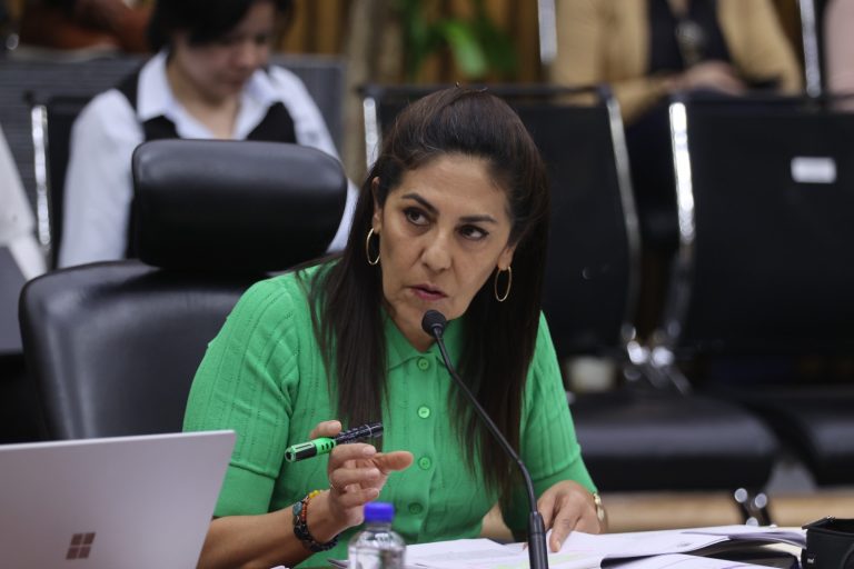 Claudia Zavala Pérez, Consejera Electoral.