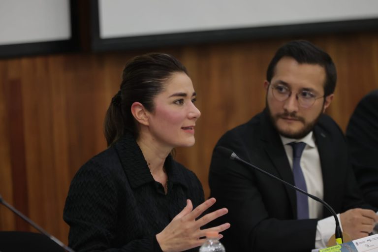 Dania Ravel Cuevas, Consejera Electoral del INE y Luis F. Fernández Ruíz Director Ejecutivo de Práctica: Laboratorio para la Democracia.