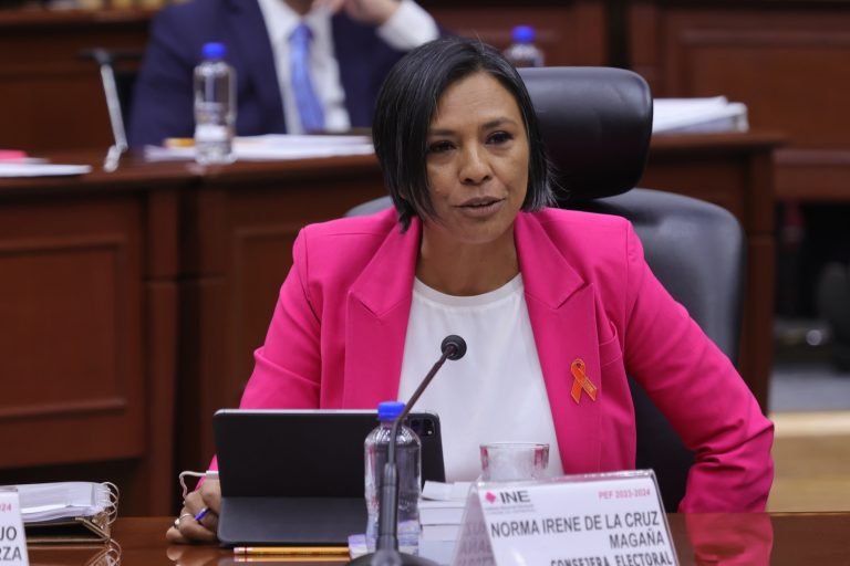 Norma Irene De La Cruz Magaña, Consejera Electoral.