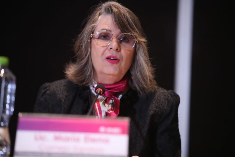 María Elena Cornejo Esparza, Encargada del despacho de la Secretaria Ejecutiva del INE.