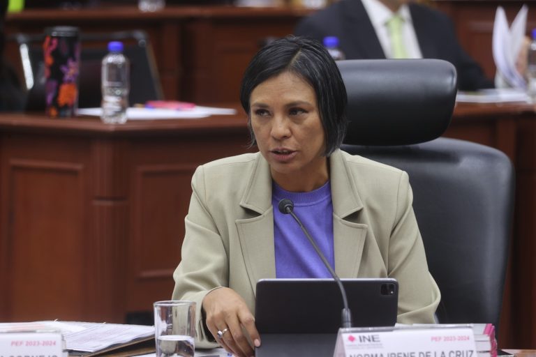 Norma Irene De La Cruz Magaña, Consejera Electoral.
