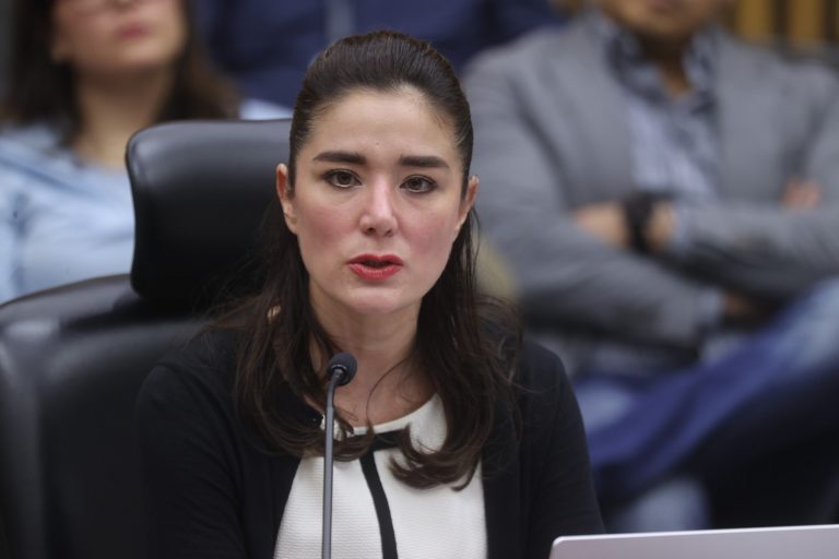 Dania Ravel Cuevas, Consejera Electoral.