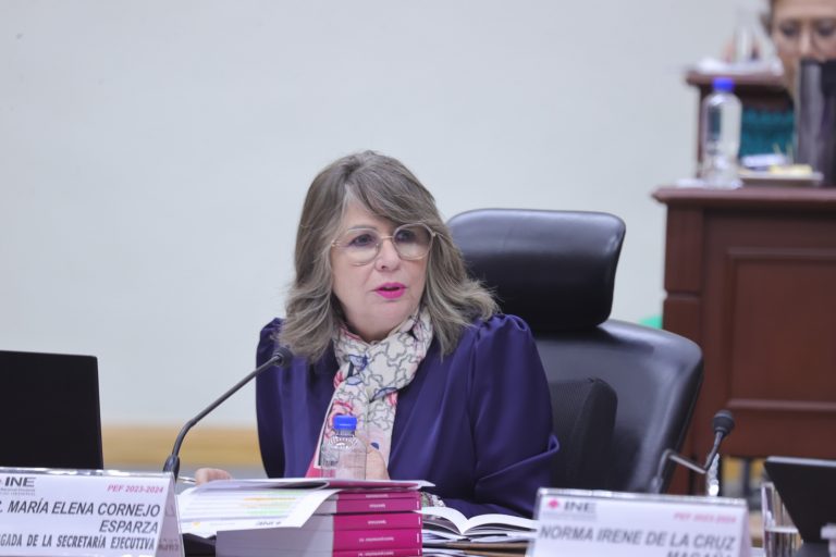 María Elena Cornejo Esparza, encargada del despacho de la Secretaría Ejecutiva.