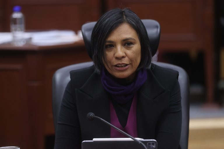 Norma Irene de la Cruz Magaña, Consejera Electoral.