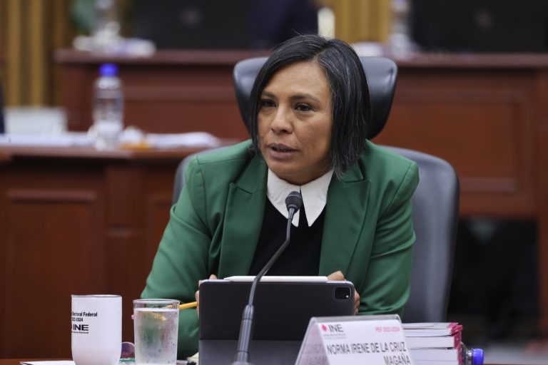 Norma Irene De La Cruz Magaña, Consejera Electoral.