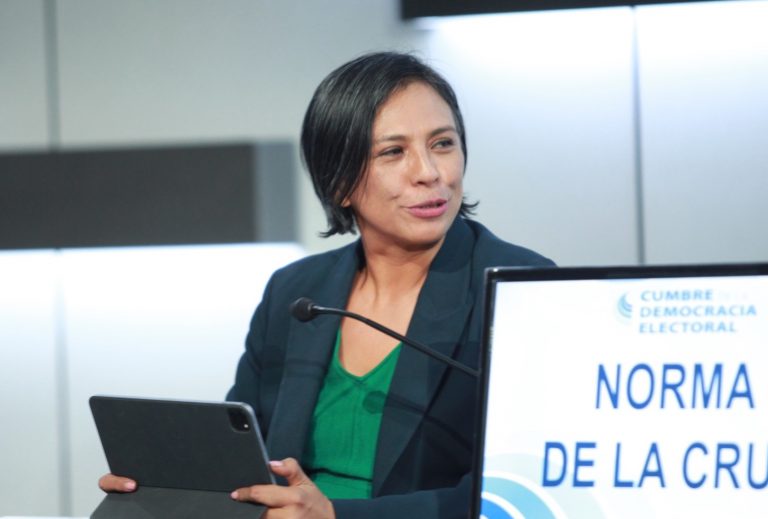 Norma Irene De La Cruz Magaña, Consejera Electoral del INE.