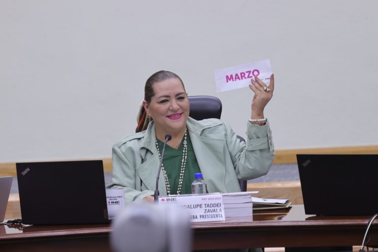 Guadalupe Taddei Zavala, Consejera Presidenta.