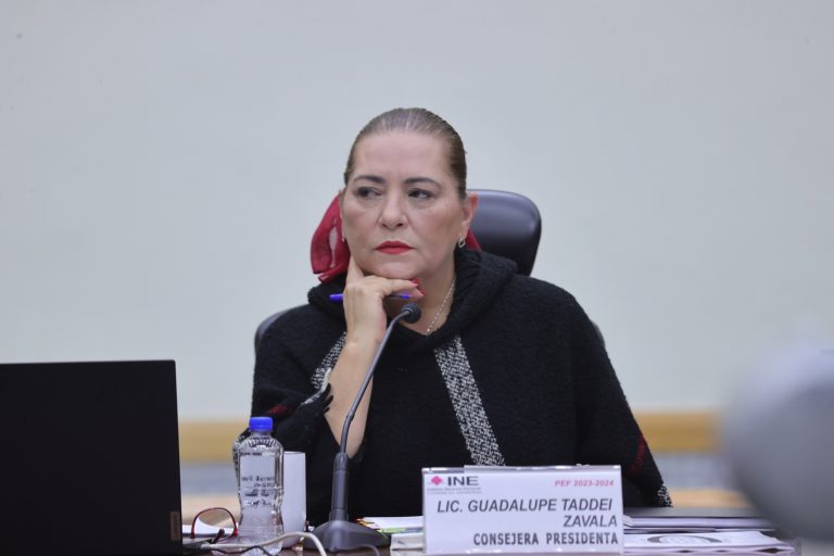 Guadalupe Taddei Zavala, Consejera Presidenta.