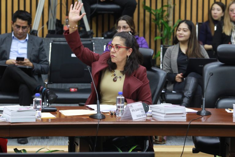 Claudia Zavala Pérez, Consejera Electoral.