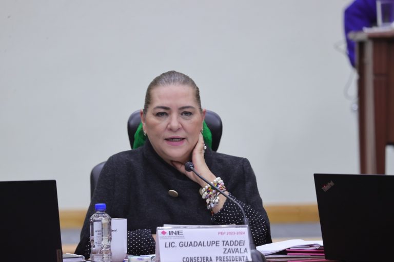 Guadalupe Taddei Zavala, Consejera Presidenta.