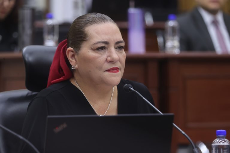 Guadalupe Taddei  Zavala, Consejera Electoral.