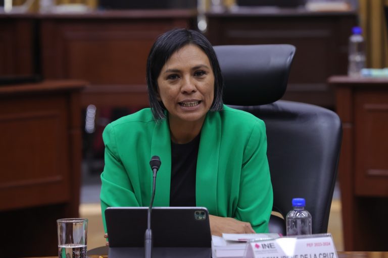 Norma Irene De La Cruz Magaña, Consejera Electoral.