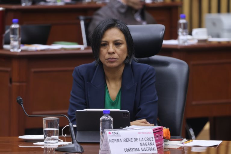 Norma Irene De La Cruz Magaña, Consejera Electoral.