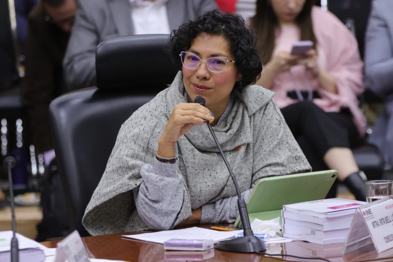 Rita Bell López Vences, Consejera Electoral.