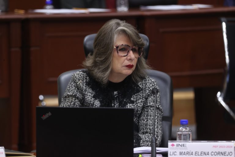 María Elena Cornejo Esparza, Encargada del despacho de la Secretaria Ejecutiva.