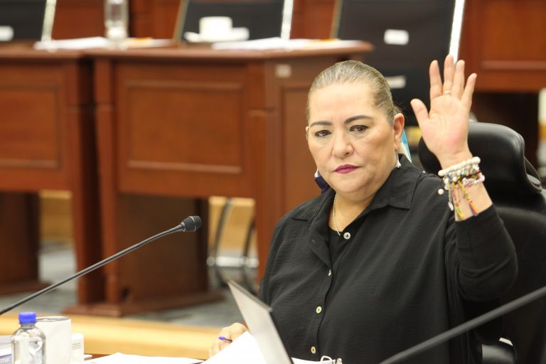 Guadalupe Taddei Zavala, Consejera Presidenta.