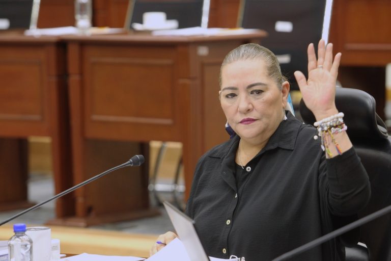 Guadalupe Taddei Zavala, Consejera Presidenta.