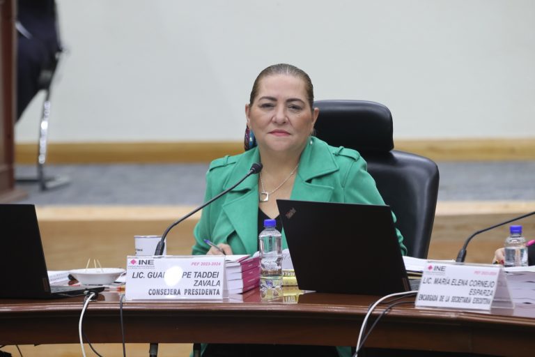 Guadalupe Taddei Zavala, Consejera Electoral.