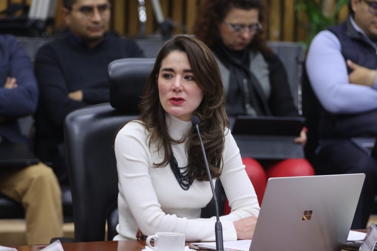 Dania Ravel Cuevas, Consejera Electoral.