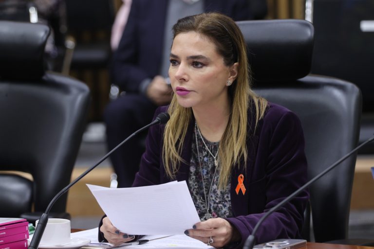 Carla Humphrey Jordan, Consejera Electoral.