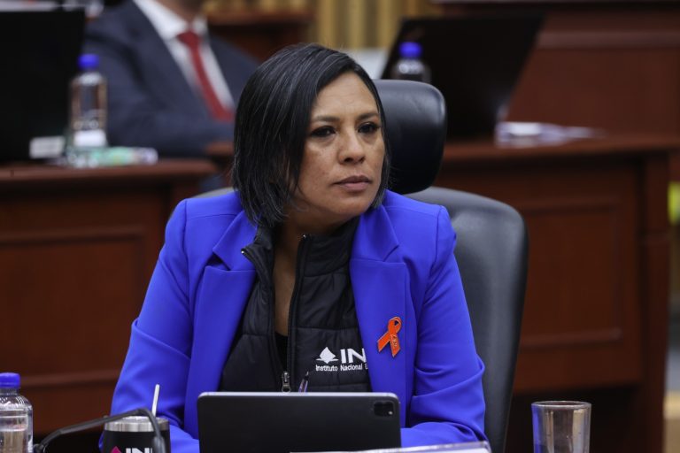 Norma Irene De La Cruz Magaña, Consejera Electoral.