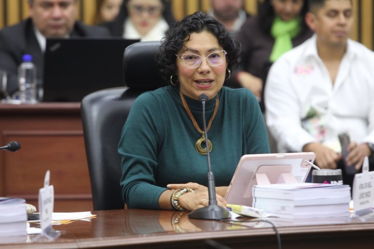 Rita Bell López Vences, Consejera Electoral.