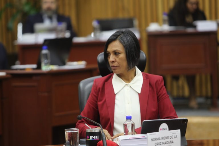 Norma Irene De La Cruz Magaña, Consejera Electoral.