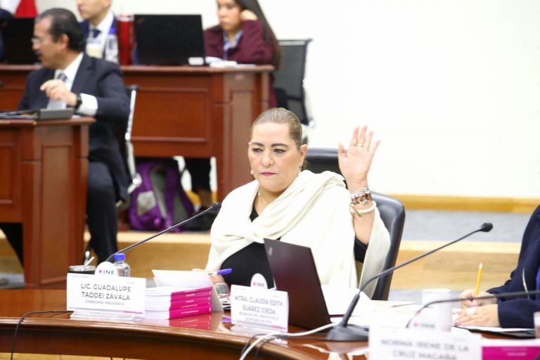 Guadalupe Taddei Zavala, Consejera Presidenta.