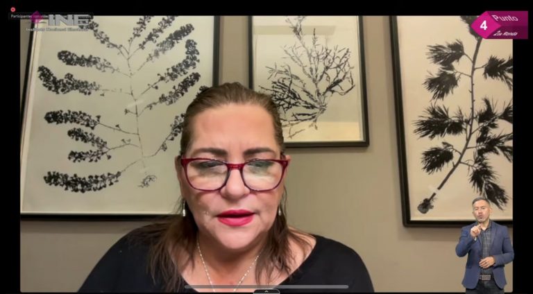 Guadalupe Taddei Zavala, Consejera Presidenta.