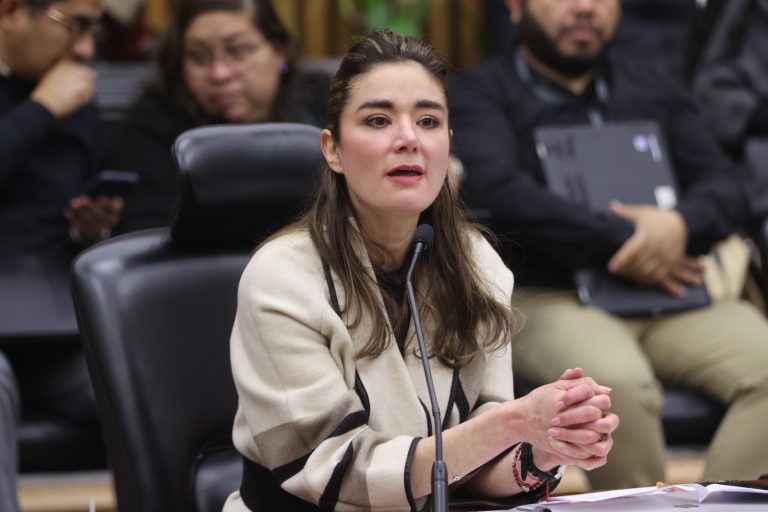 Dania Ravel Cuevas, Consejera Electoral.