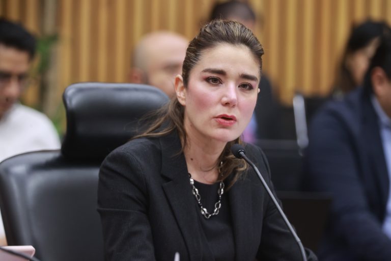 Dania Ravel Cuevas, Consejera Electoral.