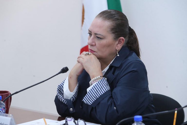 Consejera Presidenta del INE, Guadalupe Taddei