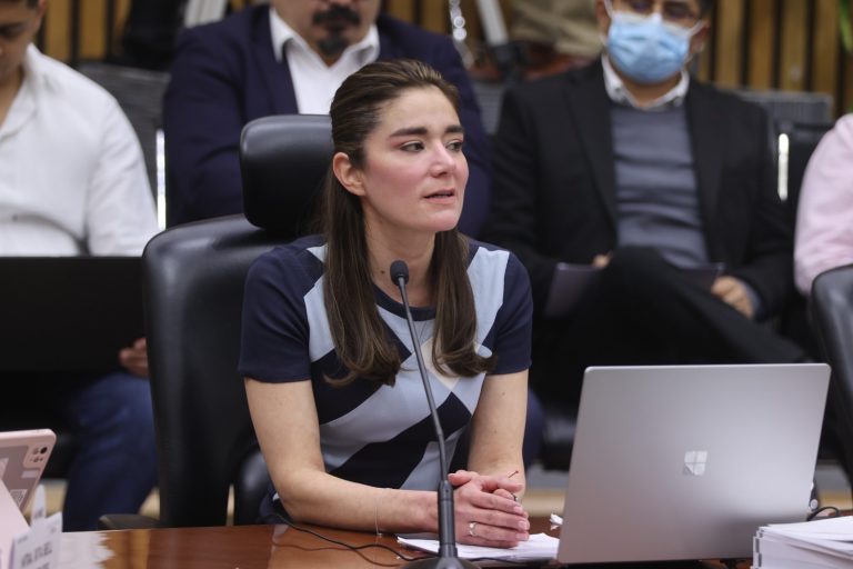 Dania Ravel Cuevas, Consejera Electoral.