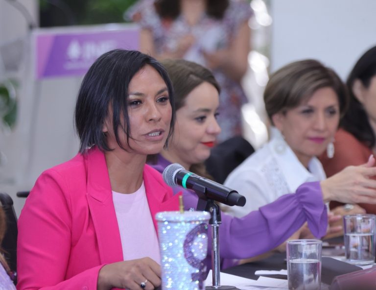 Norma Irene de la Cruz Magaña, Consejera Electoral.