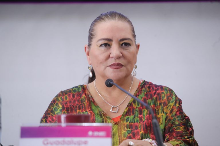 Guadalupe Taddei Zavala, Consejera Presidenta del INE.