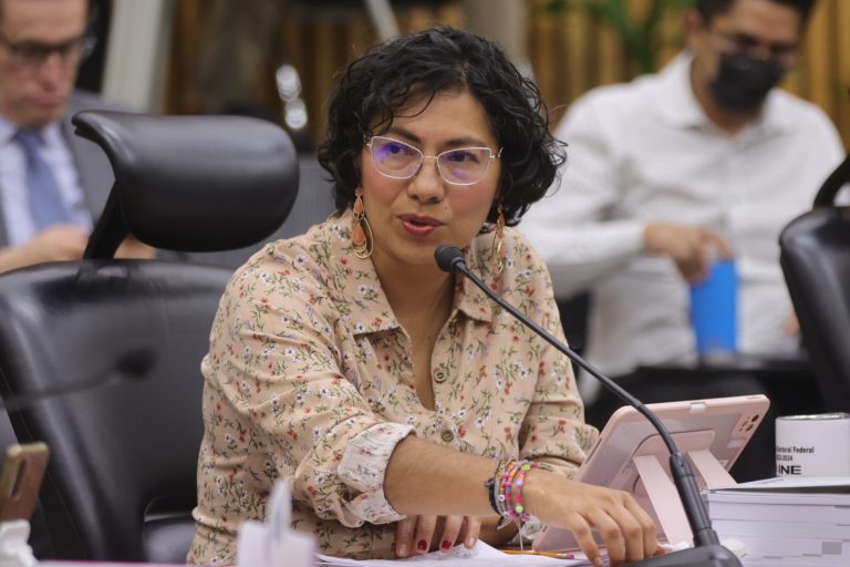 Rita Bell López Vences, Consejera Electoral.