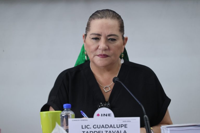Guadalupe Taddei Zavala, Consejera Presidenta del INE.