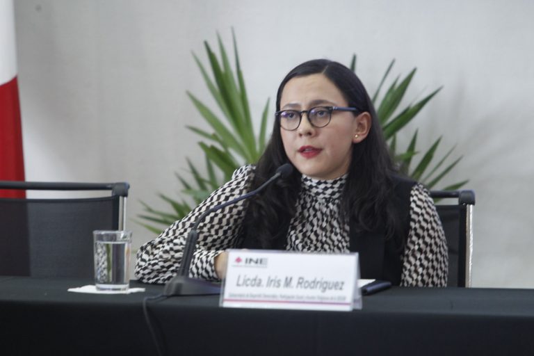 Iris Mariana Rodríguez, Subsecretaria de Desarrollo Democrático, Participación Social y Asuntos Religiosos de la Secretaría de Gobernación