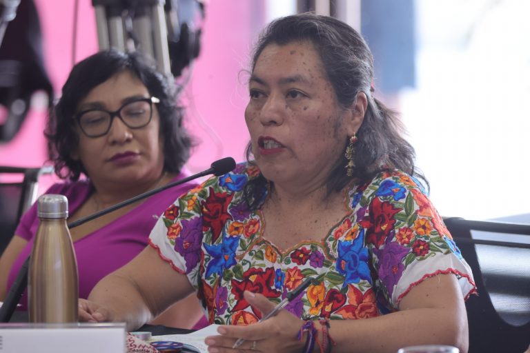 Norma Don Juan Pérez, Integrante del Consejo de  Mayoras.