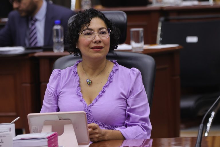 Rita Bell López Vences, Consejera Electoral.