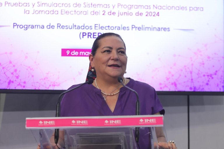 Guadalupe Taddei, Consejera Presidenta